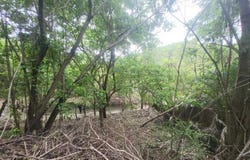 sn 1, Playa Estacahuite, San Pedro Pochutla, Oaxaca, San Pedro Pochutla, Oaxaca 70902