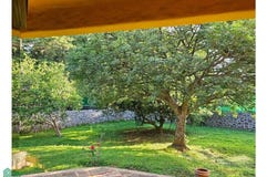 Camino Alarcón 368-1, Ahuatepec, Cuernavaca, Morelos, Cuernavaca, Morelos 62305