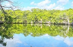 Quintana Roo, Quintana Roo