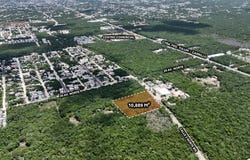 Calle 2 Norte, Tulum, Quintana Roo 77762