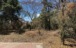 Tlahuica s/n, Zacualpan de Amilpas, Zacualpan de Amilpas, Morelos, Morelos 62890