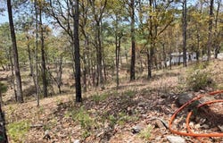 Camino Real 1, Mazamitla, Mazamitla, Jalisco, Mazamitla, Jalisco 49500