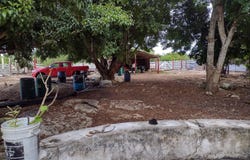 476 C. 11, Dzilam de Bravo, Yucatan 97606