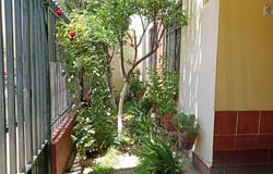 Priv. San Antonio 109, Victoria de Durango, Durango, Durango, Victoria de Durango, Durango 34000