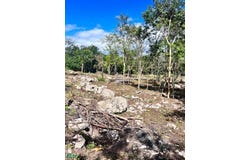 Av Nichupte s/n, Tixcacalcupul, Tixcacalcupul, Yucatán, Yucatan 97762