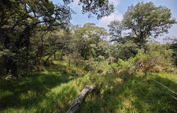Atlacomulco, Atizapán de Zaragoza, State of Mexico 52937