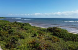 G7F2+HF, Othón P. Blanco, Quintana Roo