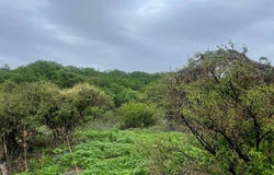 Sobre Brecha, Fracción B Predio Rustico, La Cantera. S/N, Cajititlán, Tlajomulco de Zúñiga, Jalisco, Tlajomulco de Zuniga, Jalisco 45670