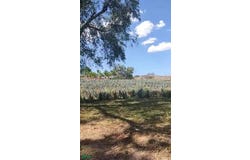 Brecha del Ingeniero 17, La Venta Del Astillero, Zapopan, Jalisco, Zapopan, Jalisco 45221