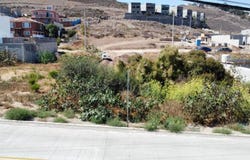 LAS PALMAS III 19, Las Palmas, Ensenada, Baja California, Ensenada, Baja California 22784