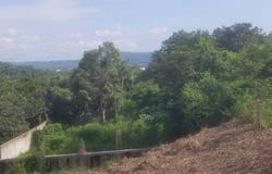 Nayarit, Nayarit