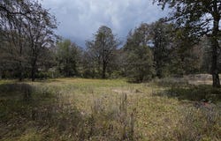 Clarin, La Cañada, Chiapas 29264