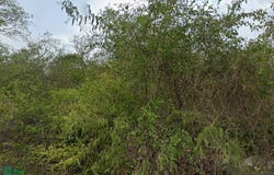 tablaje 15106 , Hunucma, Hunucmá, Yucatán, Hunucma, Yucatan 97350