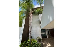 -, Mérida, Yucatan 97302