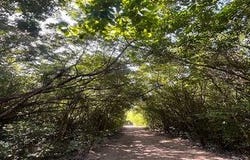Quintana Roo, Quintana Roo
