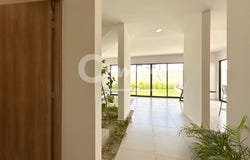 Calle 21, Conkal, Yucatan 97345