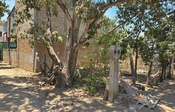 Jalisco, Nayarit
