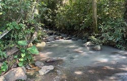 Nayarit, Nayarit