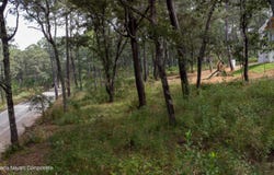 40-1 Predio Rustico La Lechuguilla, JALISCO