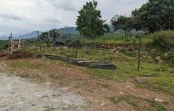 Camino Antigua a Octotitlan, SN, 10, Tecmilco, Morelos 62520