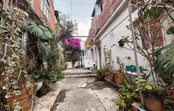 Av San Bernabe 317, La Magdalena, La Magdalena Contreras, Ciudad de México, Ciudad de Mexico, Ciudad de Mexico 10100