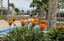 Sandy Beach, Puerto Penasco, Sonora 83553