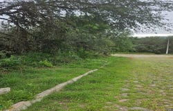 Lote. 17 Mz, 25 Loma del Tesoro S/N, Presa Escondida, Tepeji del Río de Ocampo, Hidalgo, Tepeji del Rio de Ocampo, Hidalgo 42851
