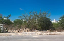 35 B 142, Cholul, Mérida, Yucatán, Merida, Yucatan 97305