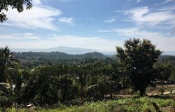 Nayarit, Nayarit