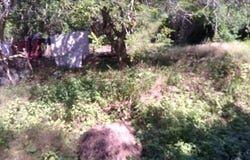 Nayarit, Nayarit