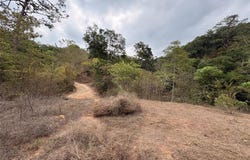 El Roble, Cabo Corrientes, Jalisco 48400