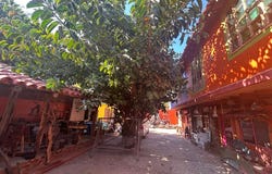 Calle Principal Benito Juárez 104, El Quelite, Mazatlán, Sinaloa, Mazatlan, Sinaloa 82350