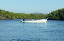 Jalisco, Nayarit