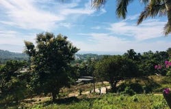 Nayarit, Nayarit