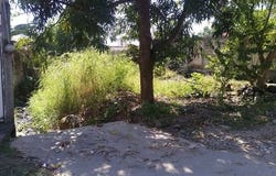 Nayarit, Nayarit