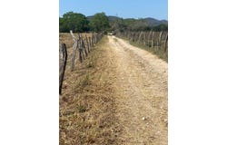 Fraccion I Parcela 1166, Compostela, Nayarit 63724