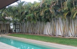 Privada Chactún Lote 67, Chablekal, Mérida, Yucatán, Merida, Yucatan 97300