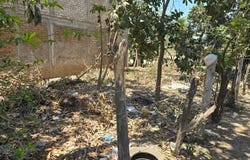 Jalisco, Nayarit