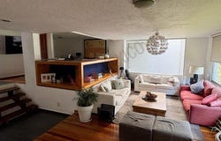 7 Magnolia, Mexico City, Ciudad de Mexico 01060