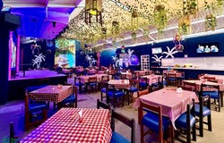 13va Calle Oriente Sur 736, Barrio Santa Cruz, Tuxtla Gutiérrez, Chiapas, Tuxtla Gutierrez, Chiapas 29073