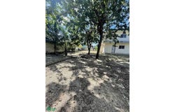Diagonal 70 norte, L 15, Mz 185, entre 10 y 12, zona 1 15, Ejidal, Solidaridad, Quintana Roo, Playa Del Carmen, Quintana Roo 77712