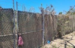 Jalisco, Nayarit