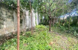 499A C. 89, Merida, Yucatan 97000