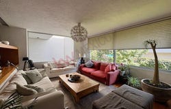 7 Magnolia, Mexico City, Ciudad de Mexico 01060