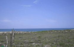 SN 09, La Gloria, Tomatlán, Jalisco, Tomatlan, Jalisco 48455