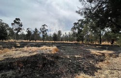 Plazuela 2 de Abril, Chalco, State of Mexico 56647