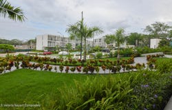 N 20 Calle Benito Juarez unit: E304, Riviera Nayarit, NAYARIT