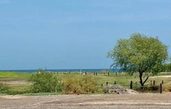Avenida La Marina, AV 261, Nopolo, Loreto, Baja California Sur, Loreto, Baja California Sur 23887