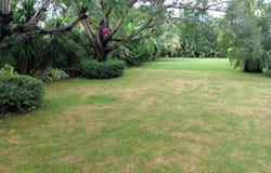 Residencial Campestre, Alfredo V. Bonfil, Quintana Roo 77560