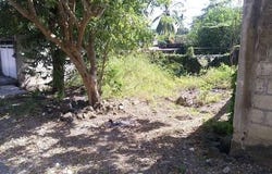 Nayarit, Nayarit